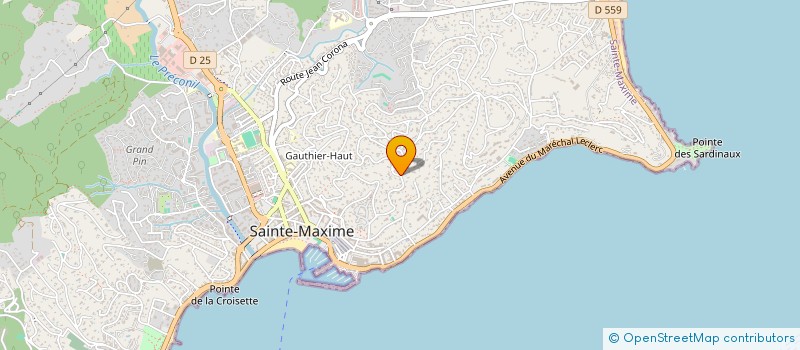 localisation de l'entreprise MONSIEUR SOUHEIL DJELOUAH à SAINTE-MAXIME