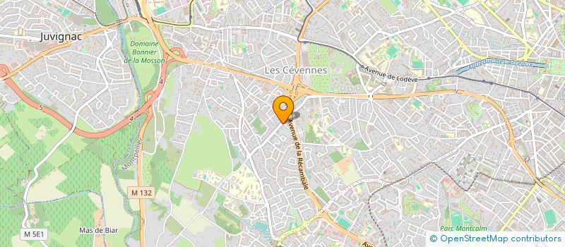 localisation de l'entreprise MONSIEUR SOUHIL CHRAGA à MONTPELLIER