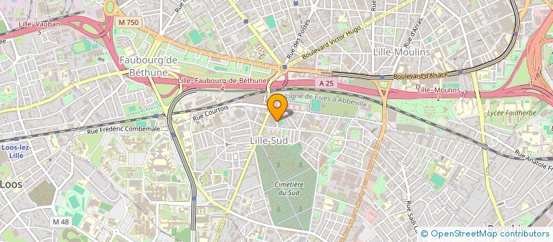 localisation de l'entreprise MONSIEUR SOULIMANE EL MOSAUI BARMOU à LILLE