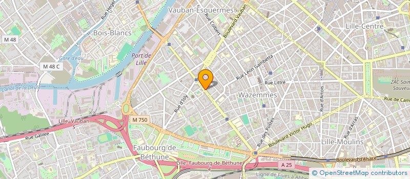localisation de l'entreprise MONSIEUR SOULLEYMANE DIALO à LILLE