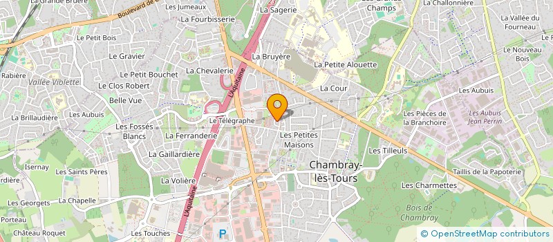 localisation de l'entreprise MONSIEUR SOUNKOU DIALLO  CHAMBRAY-LES-TOURS