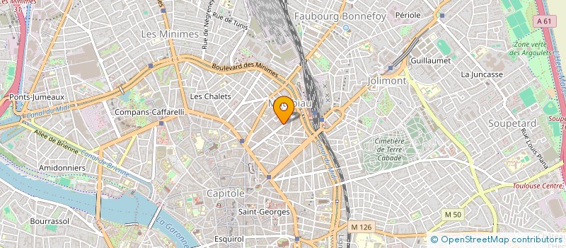 localisation de l'entreprise MONSIEUR STANISLAS BIRCH  TOULOUSE