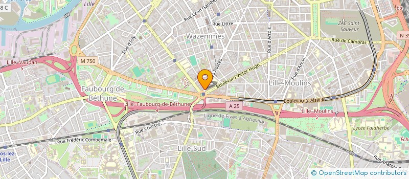 localisation de l'entreprise MONSIEUR STANISLAS GIELEC à LILLE