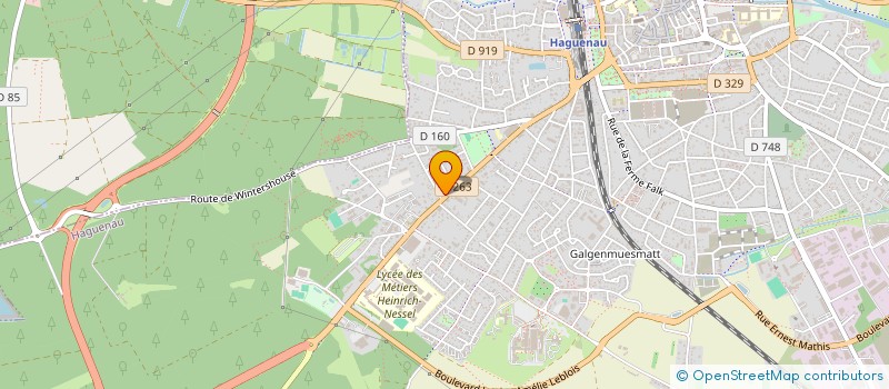 localisation de l'entreprise MONSIEUR STEEVE JUNG  HAGUENAU