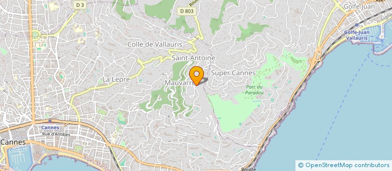 localisation de l'entreprise MONSIEUR STEFAN MIRCEA à CANNES