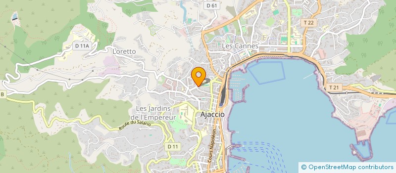 localisation de l'entreprise MONSIEUR STEFANU NIVAGGIOLI à AJACCIO