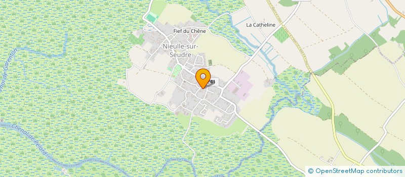 localisation de l'entreprise MONSIEUR STEIVY MARTIN  NIEULLE-SUR-SEUDRE