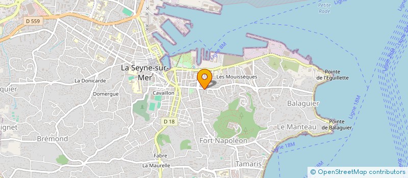 localisation de l'entreprise MONSIEUR STELIAN NITU à LA SEYNE-SUR-MER