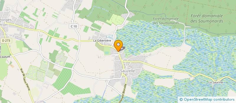 localisation de l'entreprise MONSIEUR STEPHAN CHAIGNAUD  SAINT-GEORGES-D'OLERON