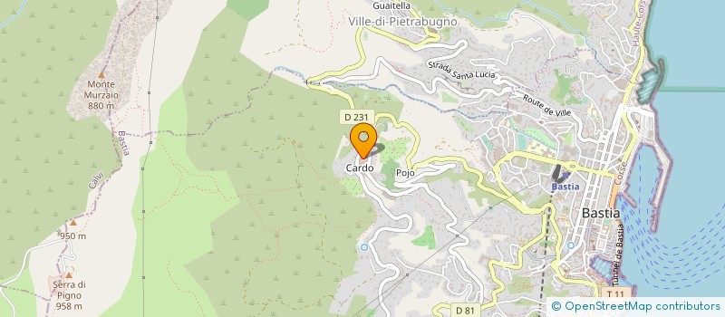 localisation de l'entreprise MONSIEUR STEPHAN MEINDL à VILLE-DI-PIETRABUGNO
