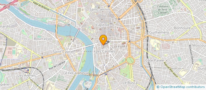localisation de l'entreprise MONSIEUR STEPHAN REYNES à TOULOUSE