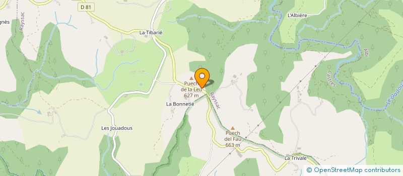 localisation de l'entreprise MONSIEUR STEPHAN SALVAIRE  RAYSSAC