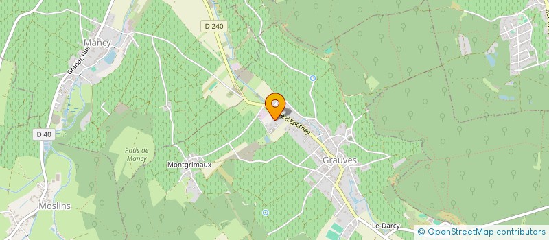 localisation de l'entreprise MONSIEUR STEPHANE BERTHEREAU  LE MESNIL SUR OGER