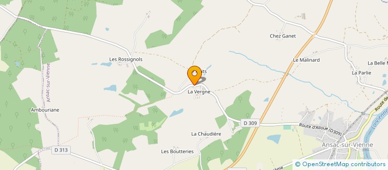 localisation de l'entreprise MONSIEUR STEPHANE BERTIN à ANSAC-SUR-VIENNE