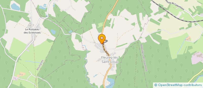 localisation de l'entreprise MONSIEUR STEPHANE BION  FLEUREY-LES-SAINT-LOUP