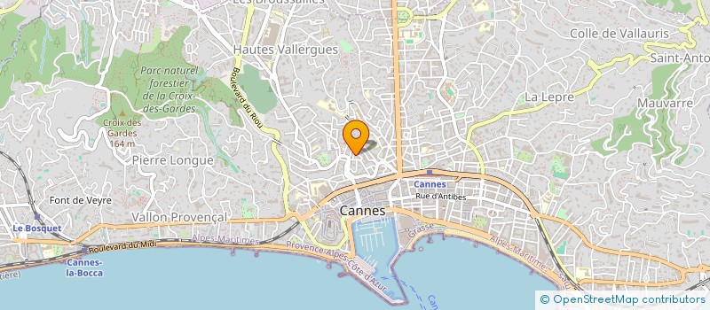 localisation de l'entreprise MONSIEUR STEPHANE BOIDIN  CANNES