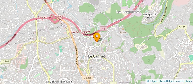 localisation de l'entreprise MONSIEUR STEPHANE CECCALDI  LE CANNET