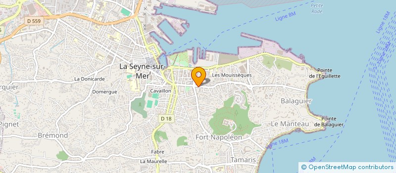 localisation de l'entreprise MONSIEUR STEPHANE CHRISTIDIS  LA SEYNE-SUR-MER