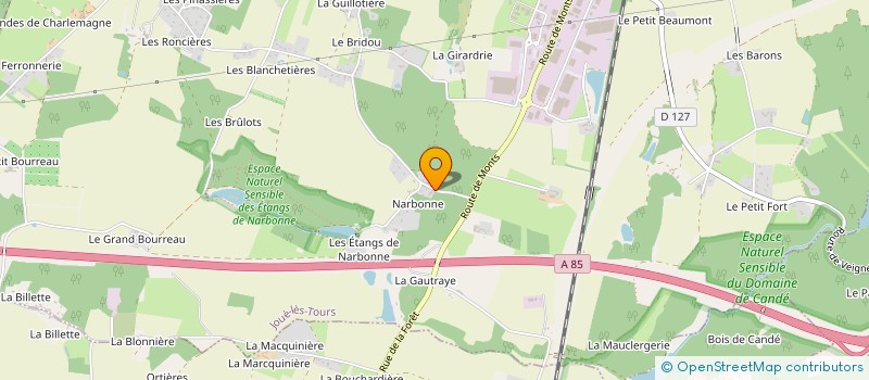 localisation de l'entreprise MONSIEUR STEPHANE DELLION  JOUE-LES-TOURS