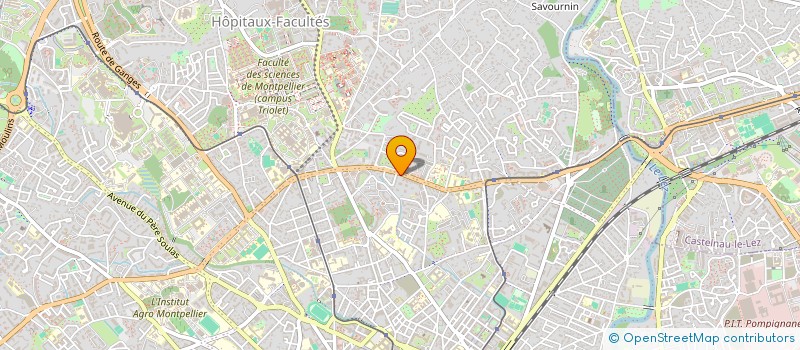 localisation de l'entreprise MONSIEUR STEPHANE DELMAS à MONTPELLIER