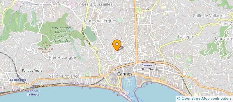 localisation de l'entreprise MONSIEUR STEPHANE DEMICHELIS à CANNES