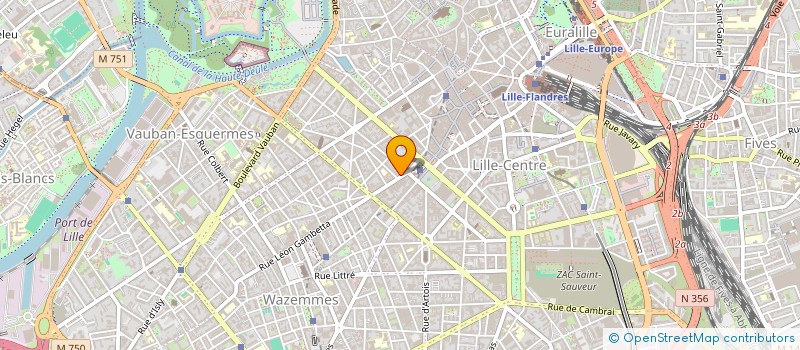 localisation de l'entreprise MONSIEUR STEPHANE DEREUMAUX à LILLE