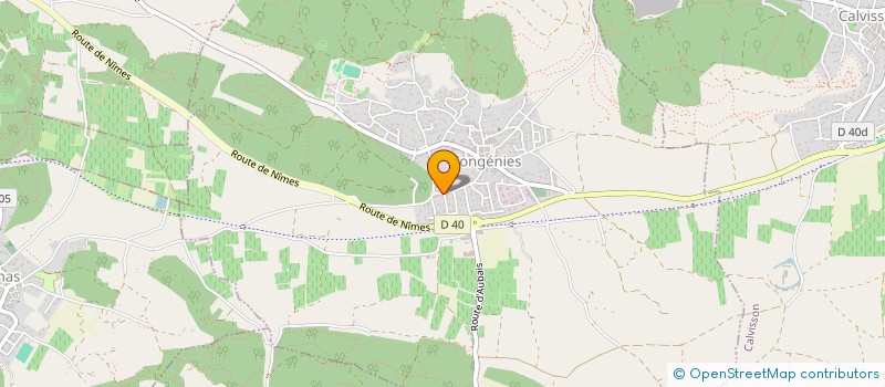 localisation de l'entreprise MONSIEUR STEPHANE DESMOULINS  CONGENIES