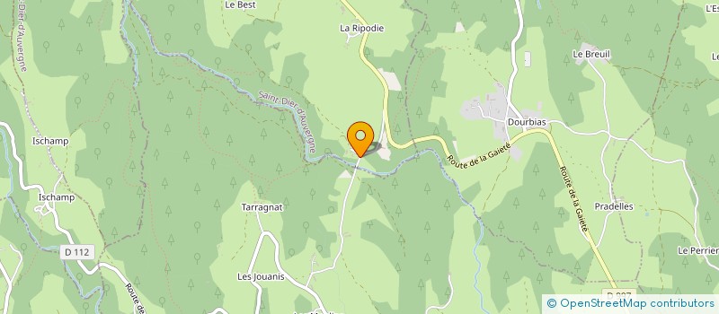 localisation de l'entreprise MONSIEUR STEPHANE DISSARD à ST DIER D AUVERGNE