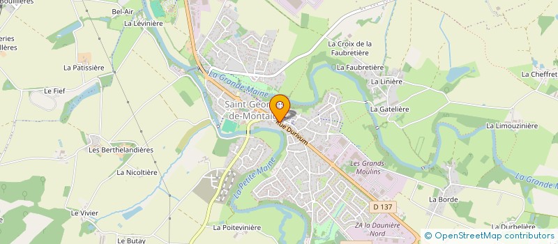 localisation de l'entreprise MONSIEUR STEPHANE DOUSSAIN à MONTAIGU-VENDEE