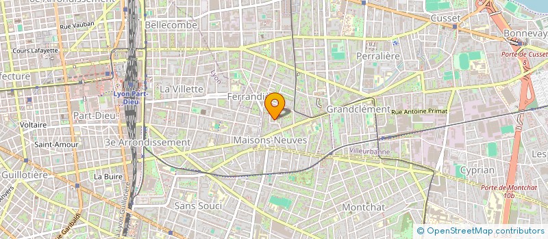 localisation de l'entreprise MONSIEUR STEPHANE DUCHENE  VILLEURBANNE