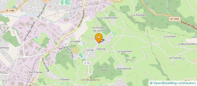 localisation de l'entreprise MONSIEUR STEPHANE ETHIOUX  SAINT-JEAN-BONNEFONDS