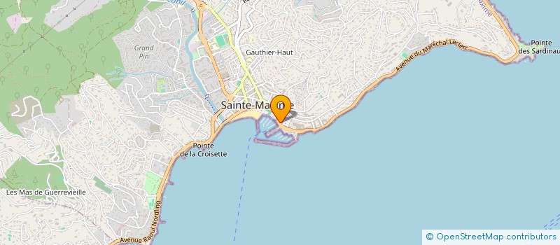 localisation de l'entreprise MONSIEUR STEPHANE GANDOLFI  SAINTE-MAXIME