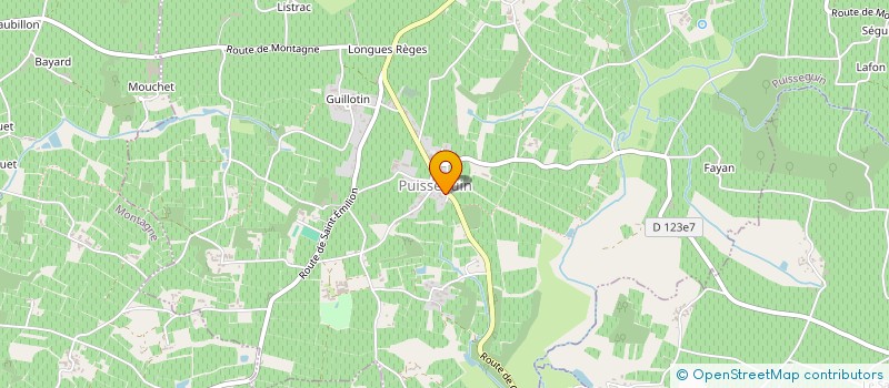 localisation de l'entreprise MONSIEUR STEPHANE GOUNOU  PUISSEGUIN