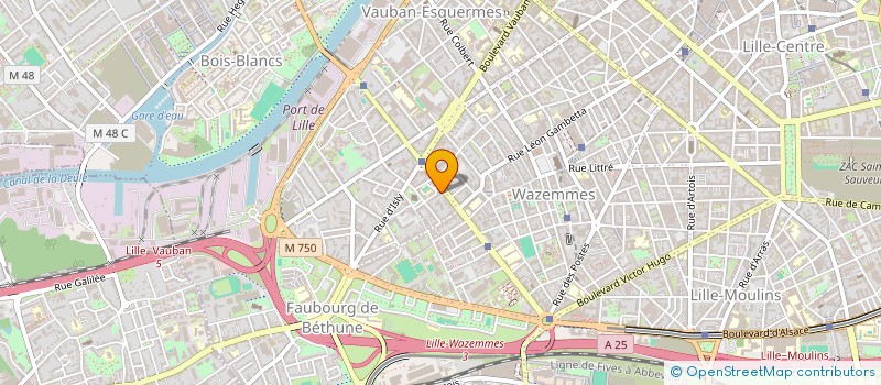 localisation de l'entreprise MONSIEUR STEPHANE HULEUX à LILLE