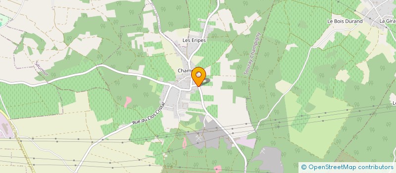 localisation de l'entreprise MONSIEUR STEPHANE LABROUSSE  SOUZAY-CHAMPIGNY