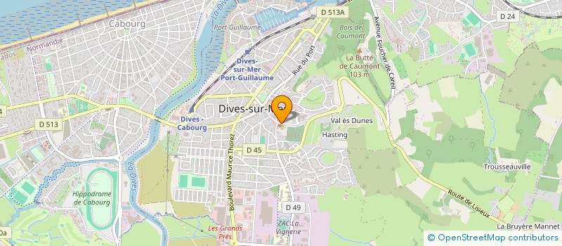 localisation de l'entreprise MONSIEUR STEPHANE LECOQ  DIVES-SUR-MER