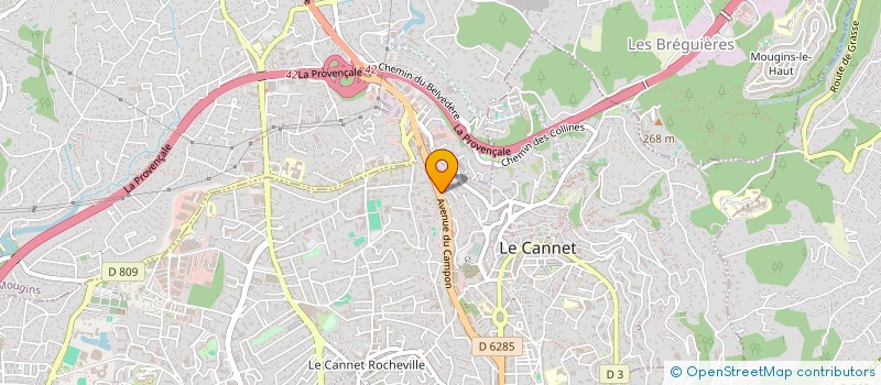 localisation de l'entreprise MONSIEUR STEPHANE LELIEPVRE à LE CANNET