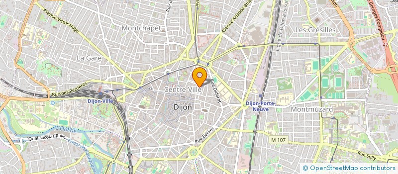 localisation de l'entreprise MONSIEUR STEPHANE LEVASSEUR à DIJON
