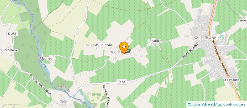 localisation de l'entreprise MONSIEUR STEPHANE PINAUD  SALLES-D'ANGLES