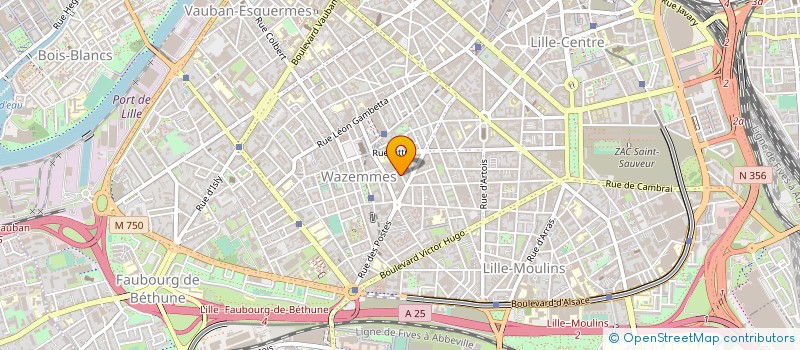 localisation de l'entreprise MONSIEUR STEPHANE SALINGUE à LILLE