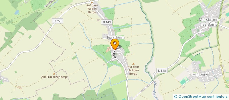 localisation de l'entreprise MONSIEUR STEPHANE SONNTAG  FORSTHEIM