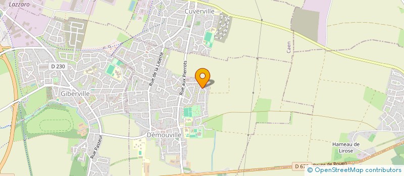 localisation de l'entreprise MONSIEUR STEPHANE TEBALDINI  DEMOUVILLE