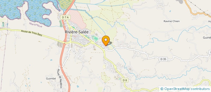 localisation de l'entreprise MONSIEUR STEPHANE TELGA  RIVIERE-SALEE