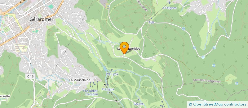 localisation de l'entreprise MONSIEUR STEPHANE THIEBAUT  GERARDMER