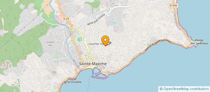 localisation de l'entreprise MONSIEUR STEPHANE VALETTE à SAINTE-MAXIME