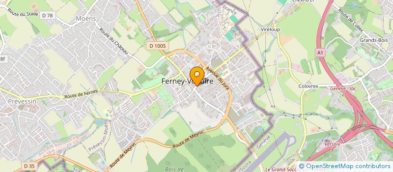 localisation de l'entreprise MONSIEUR STEPHEN BROWN à FERNEY-VOLTAIRE