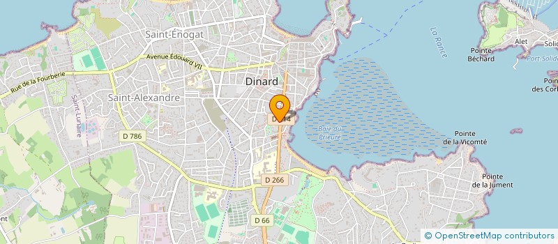 localisation de l'entreprise MONSIEUR STEPHEN DUMONT  DINARD