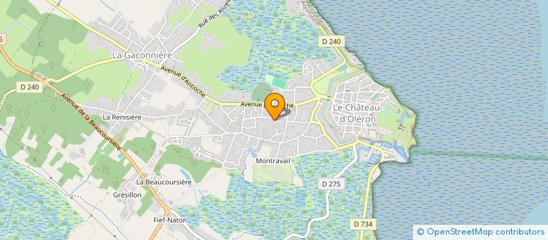 localisation de l'entreprise MONSIEUR STEPHEN SANCHEZ  LE CHATEAU D'OLERON