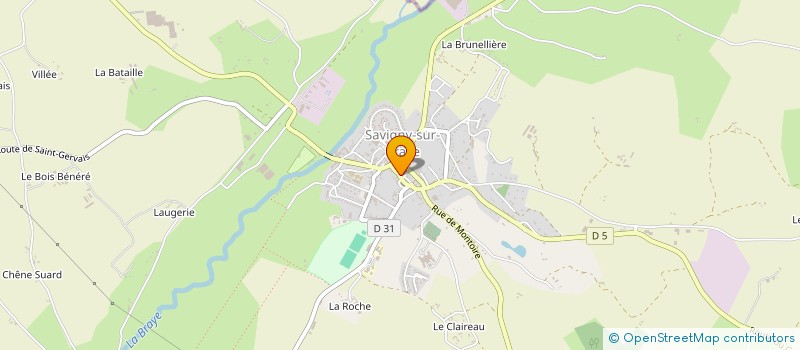 localisation de l'entreprise MONSIEUR STEVE BALAYN  SAVIGNY-SUR-BRAYE