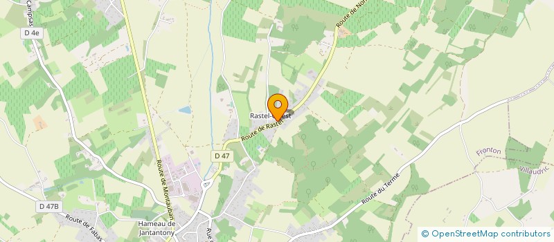 localisation de l'entreprise MONSIEUR STEVE DESMOULIN  FRONTON